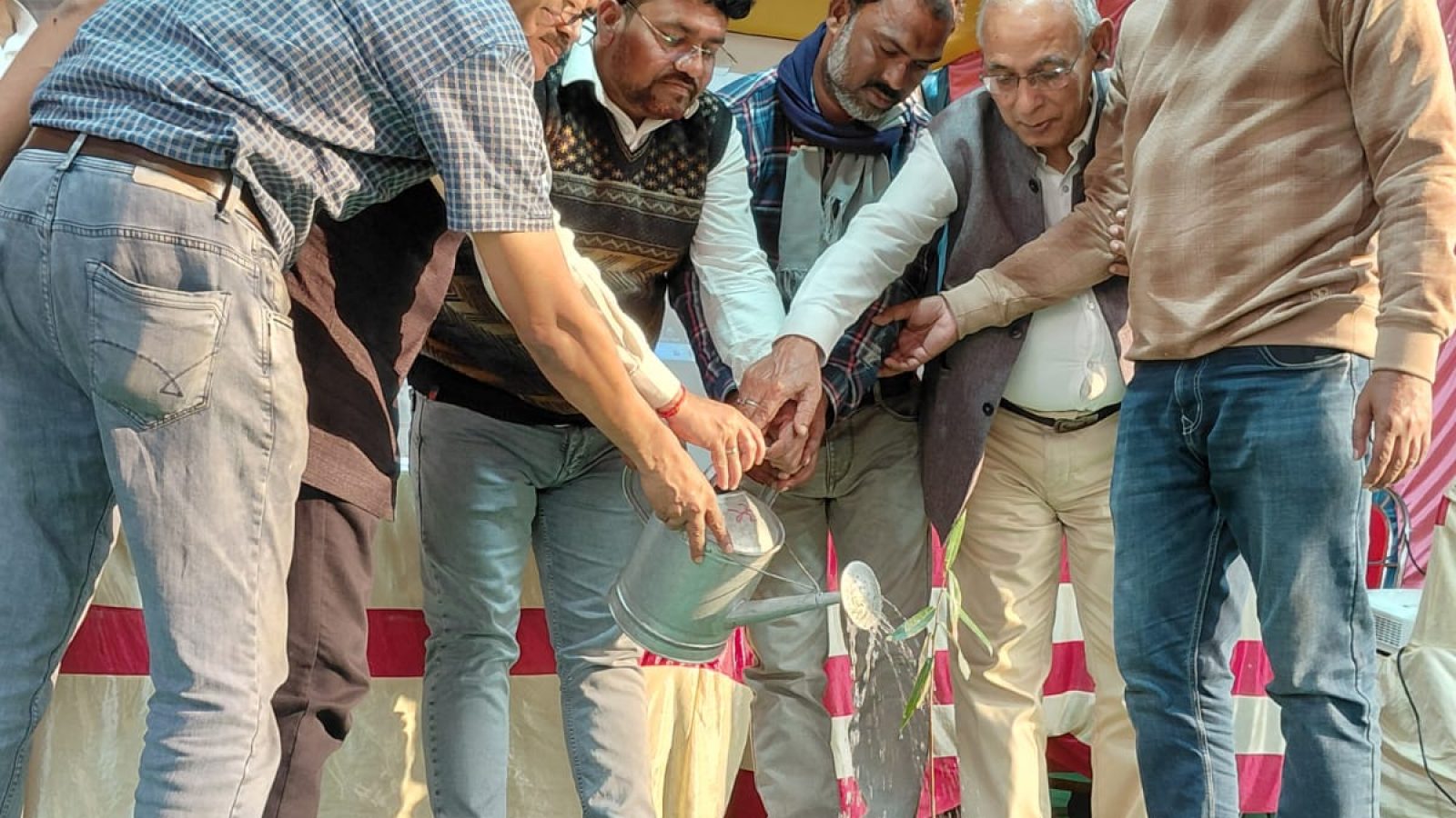 WhatsApp Image 2026-01-30 at 14.17.07 (2)